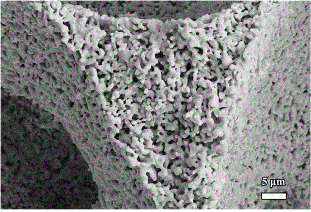 A Green Preparation Method of Lightweight and Low Thermal Conductivity γ-Y2Si2O7 Porous Ceramics