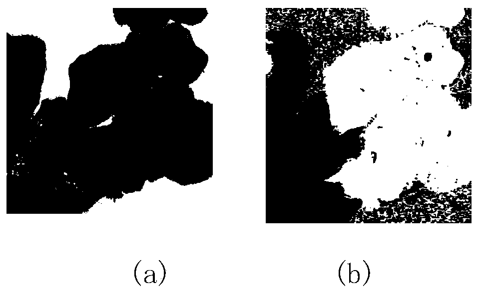 Pathological section color normalization method and system