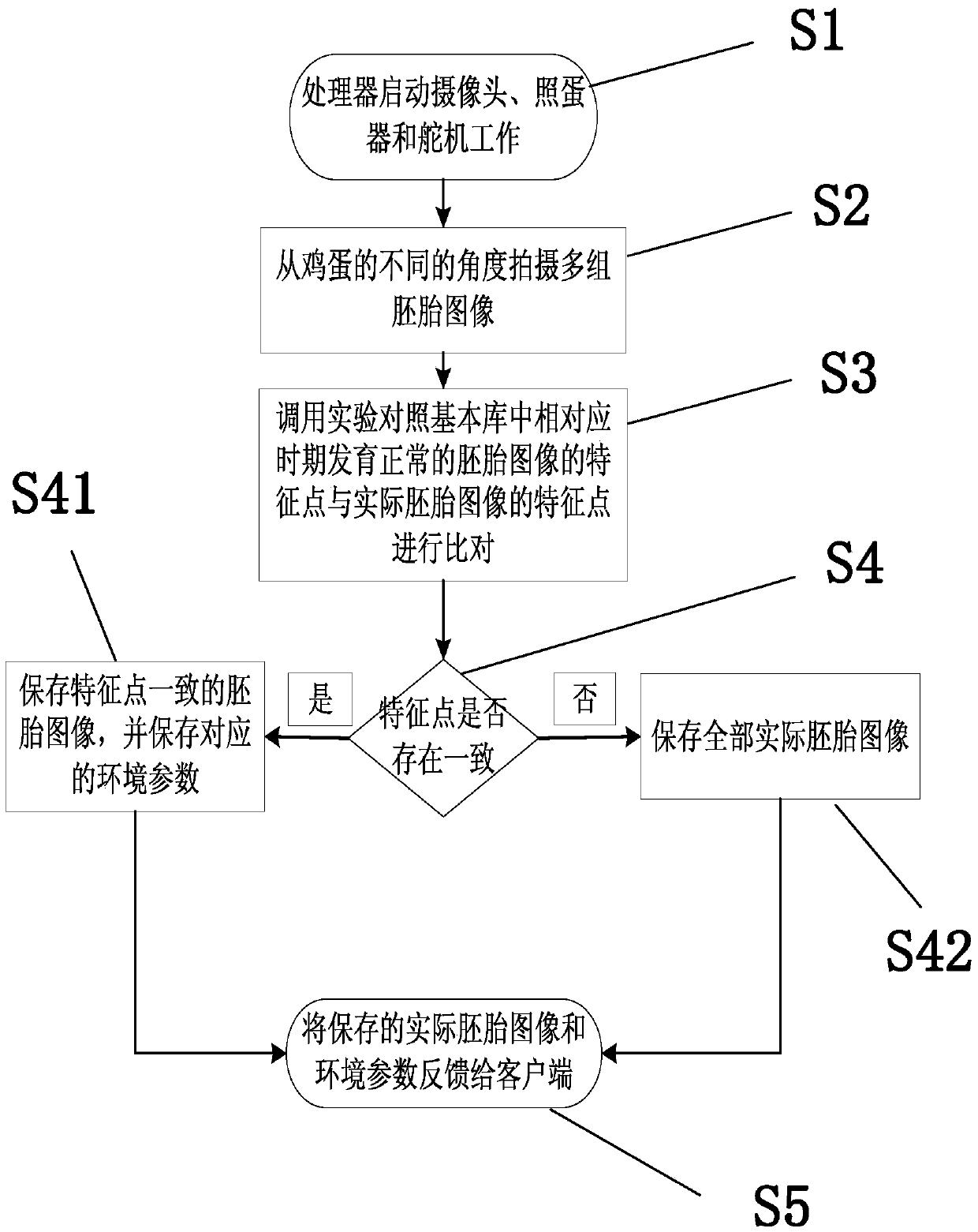 Device and method for observing and recording chicken incubation experiment