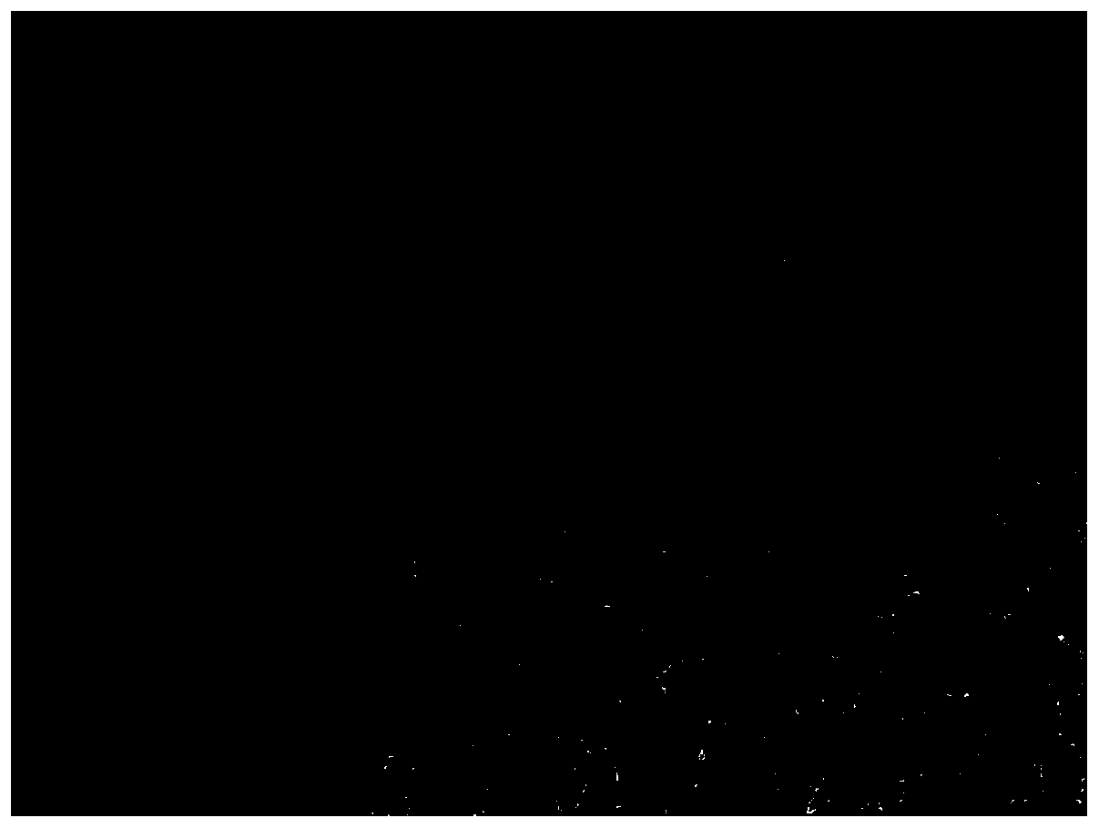 Antioxidant conductive copper nanowire film and preparation method and application thereof