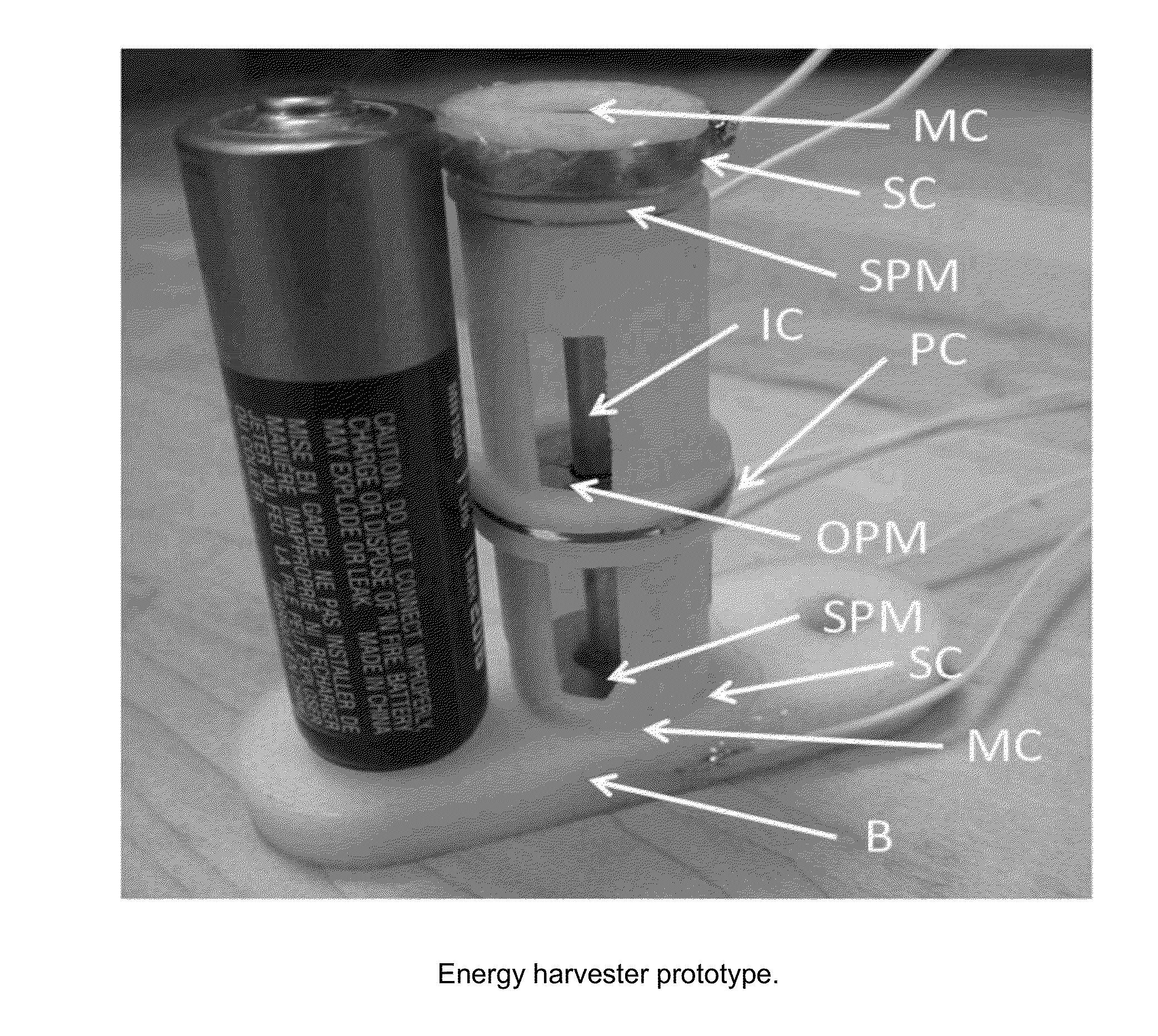 Multimodal vibration harvester combining inductive and magnetostrictive mechanisms