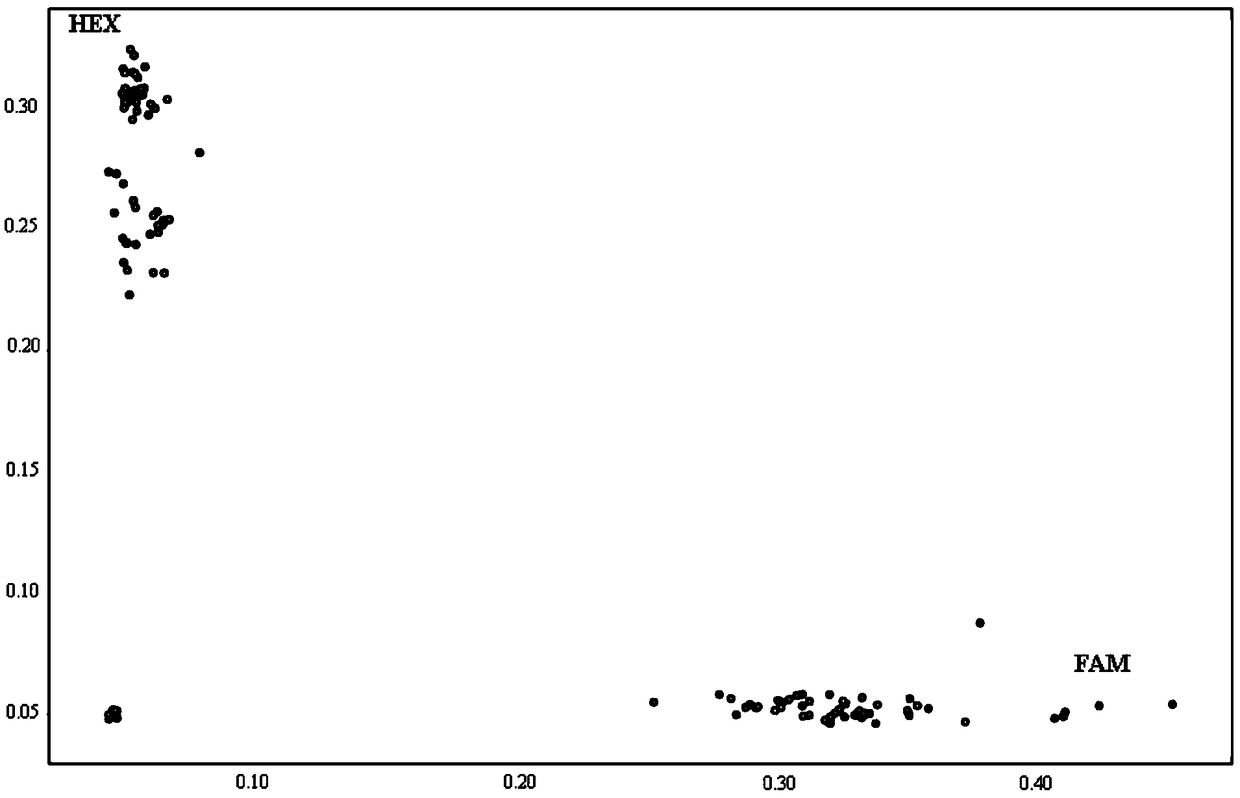 SNP molecular marker for rice genotyping and application thereof