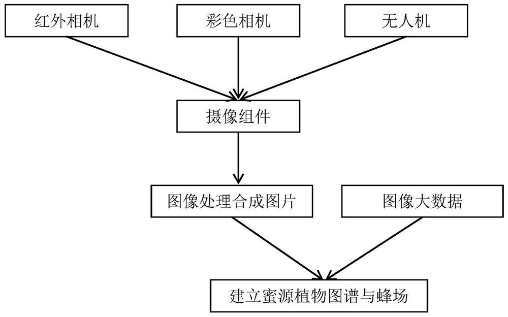 Prediction method and system for honey production