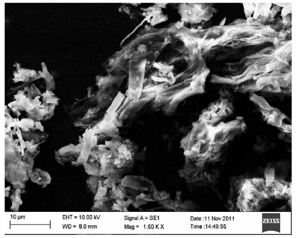 Semi-bionic extraction method for active components of Cordyceps militaris