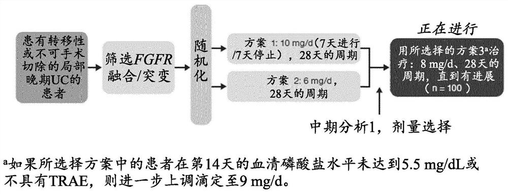 FGFR tyrosine kinase inhibitors for the treatment of urothelial carcinoma