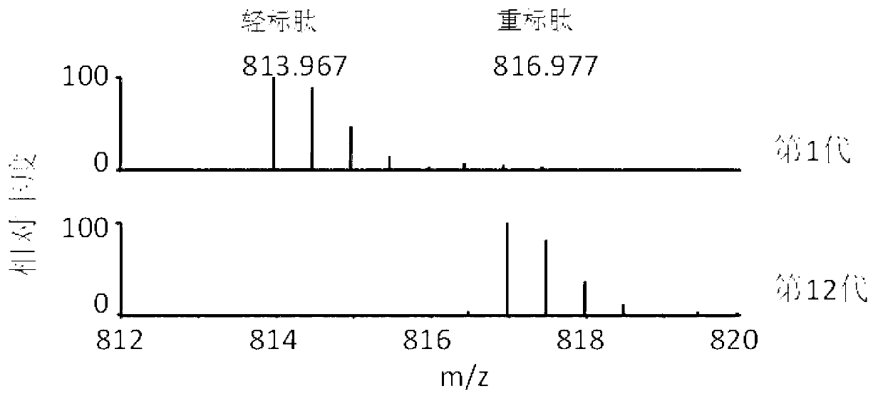 Method for labeling escherichia coli proteome by using SILAC (Stable Isotope Labeling with Amino Acids in Cell Cultures) and special culture medium