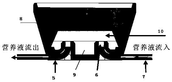 Dual-cultivation box