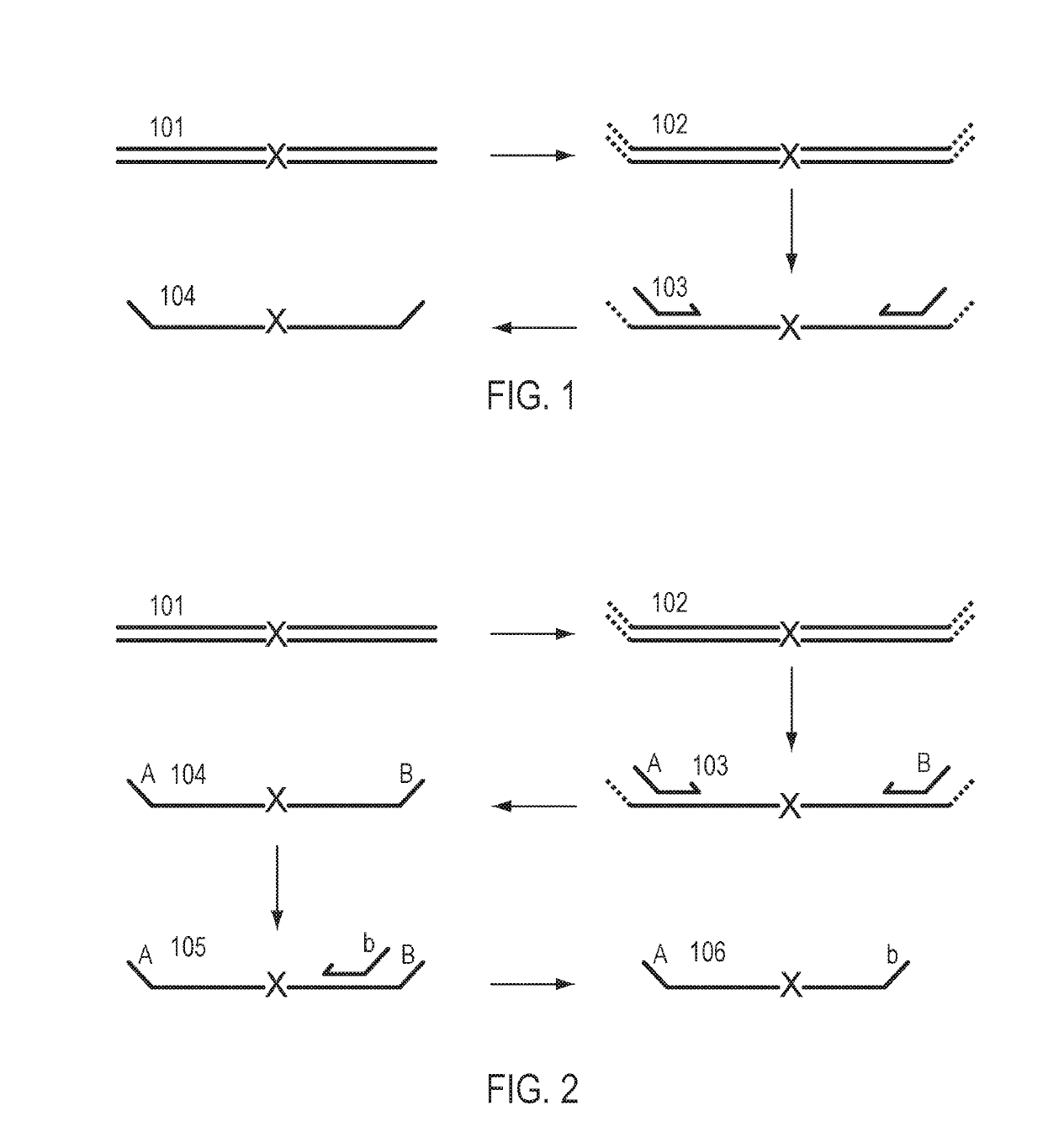 Methods for simultaneous amplification of target loci