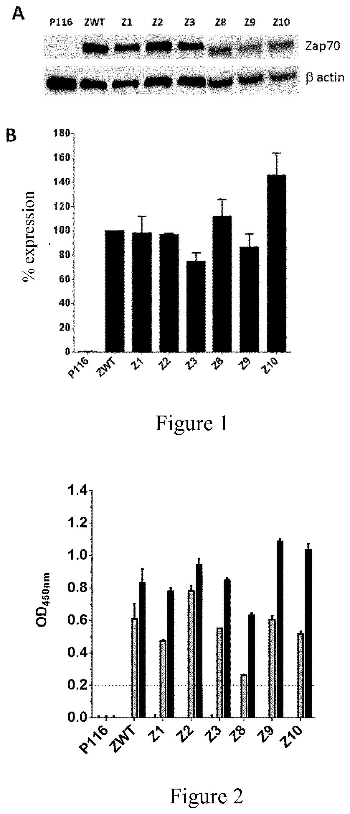 Kinase mutants and uses thereof