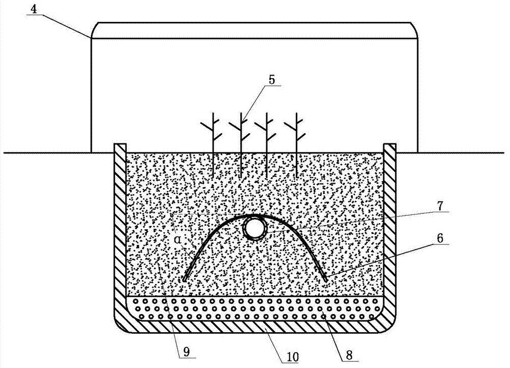 Biological bed system for treating organic sewage