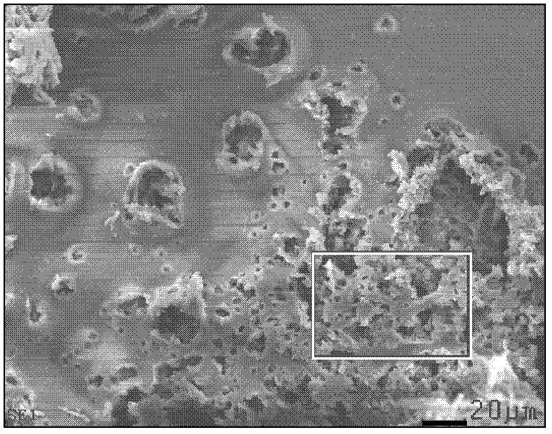 Method and implementation device for driving nonmetal flayer with laser