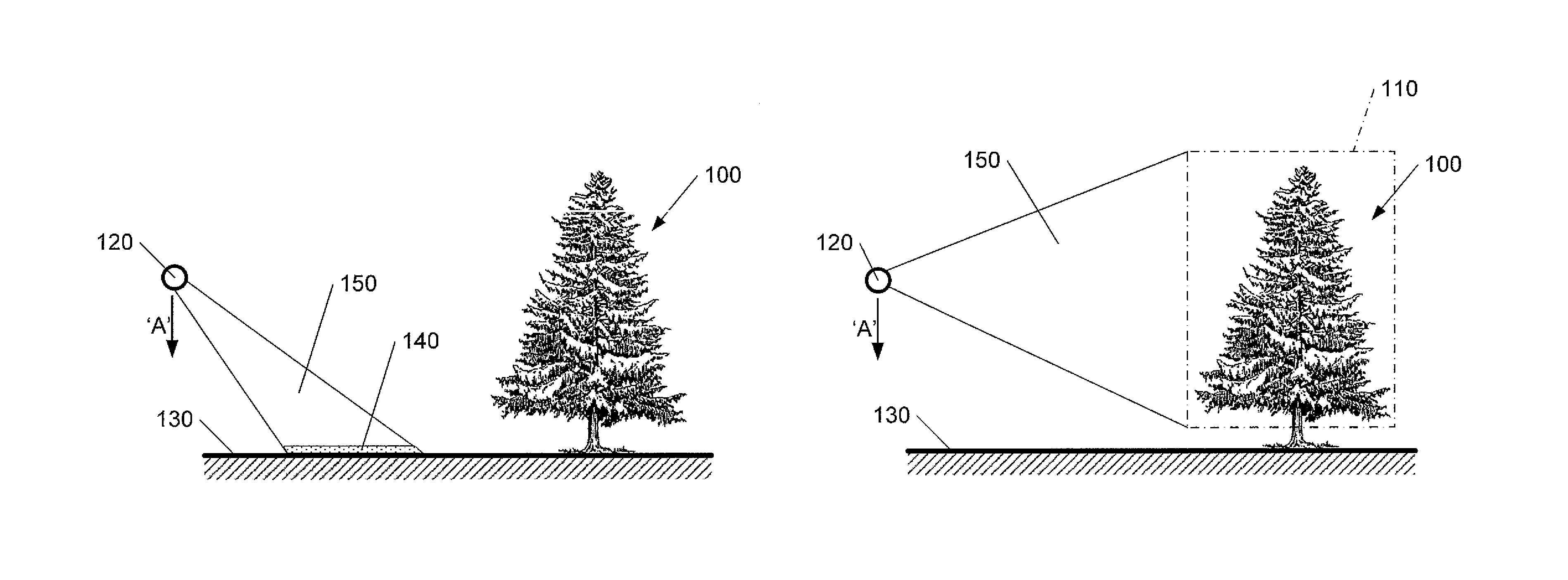 Automatic scene calibration