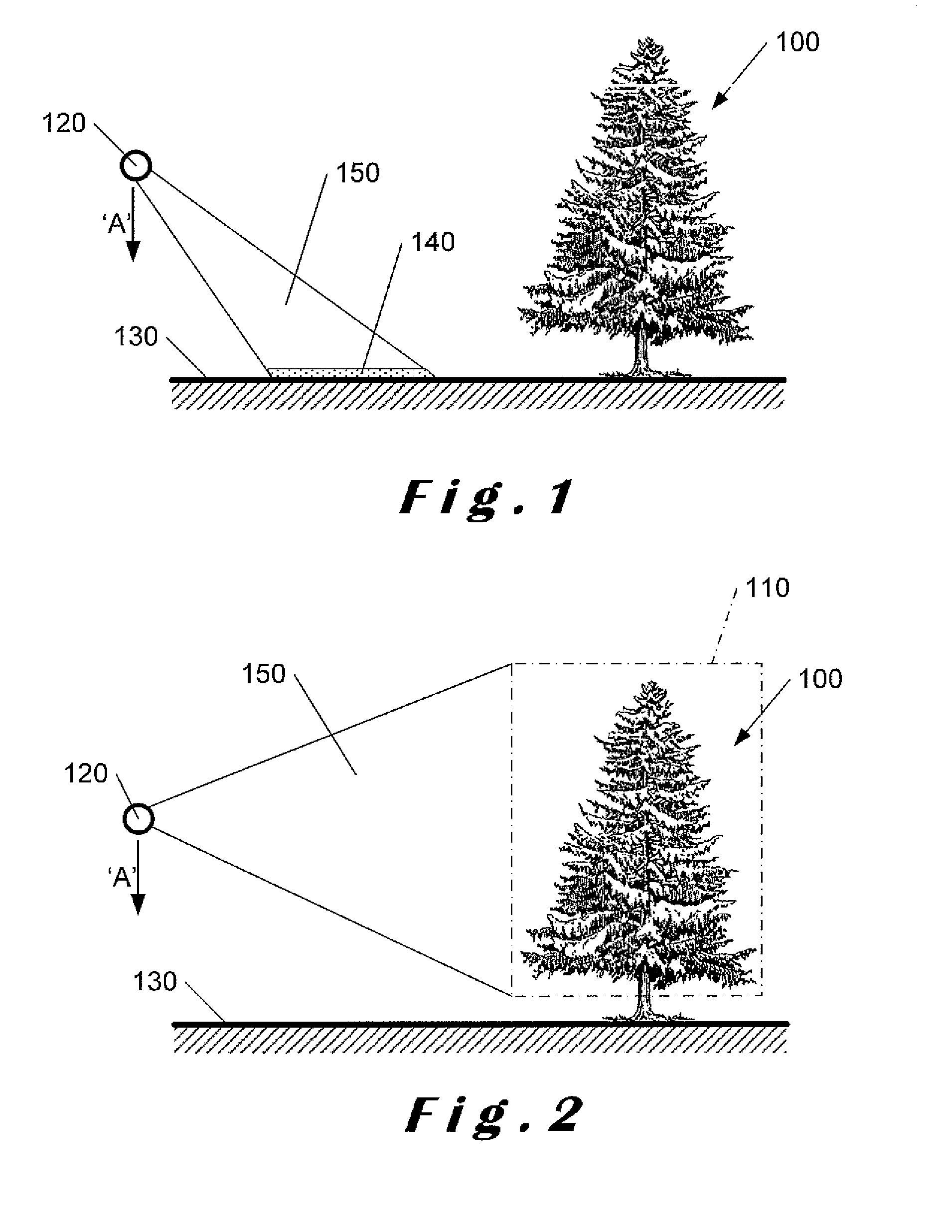 Automatic scene calibration