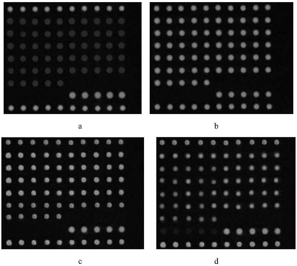 Micro-array chip detection method for 10 on-melon diseases and used chip probe