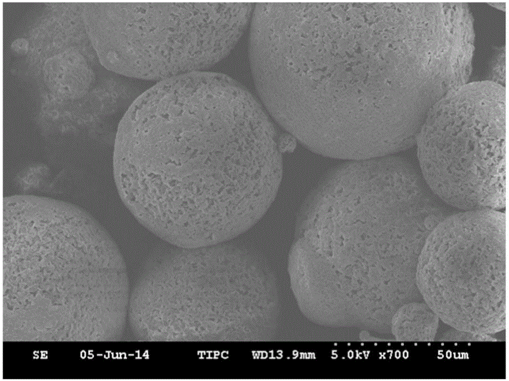 Nylon/polystyrene alloy microsphere, preparation method and applications thereof