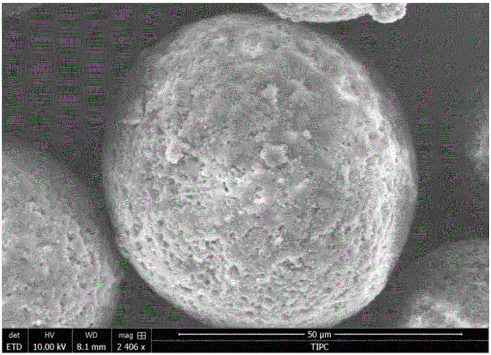 Nylon/polystyrene alloy microsphere, preparation method and applications thereof