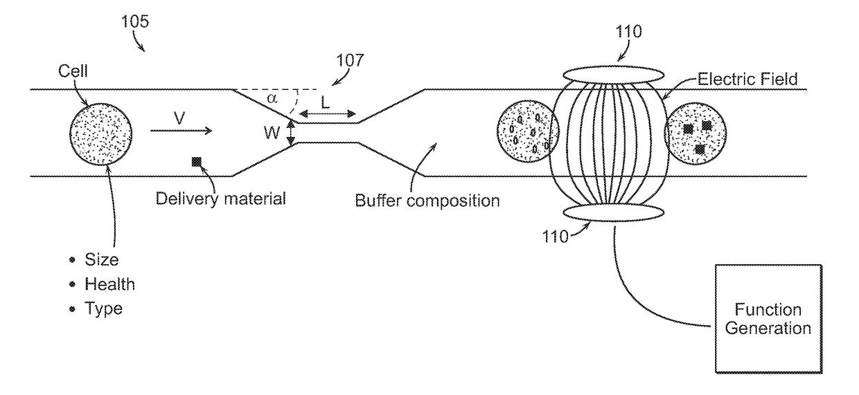 Disruption and field enabled delivery of compounds and compositions into cells