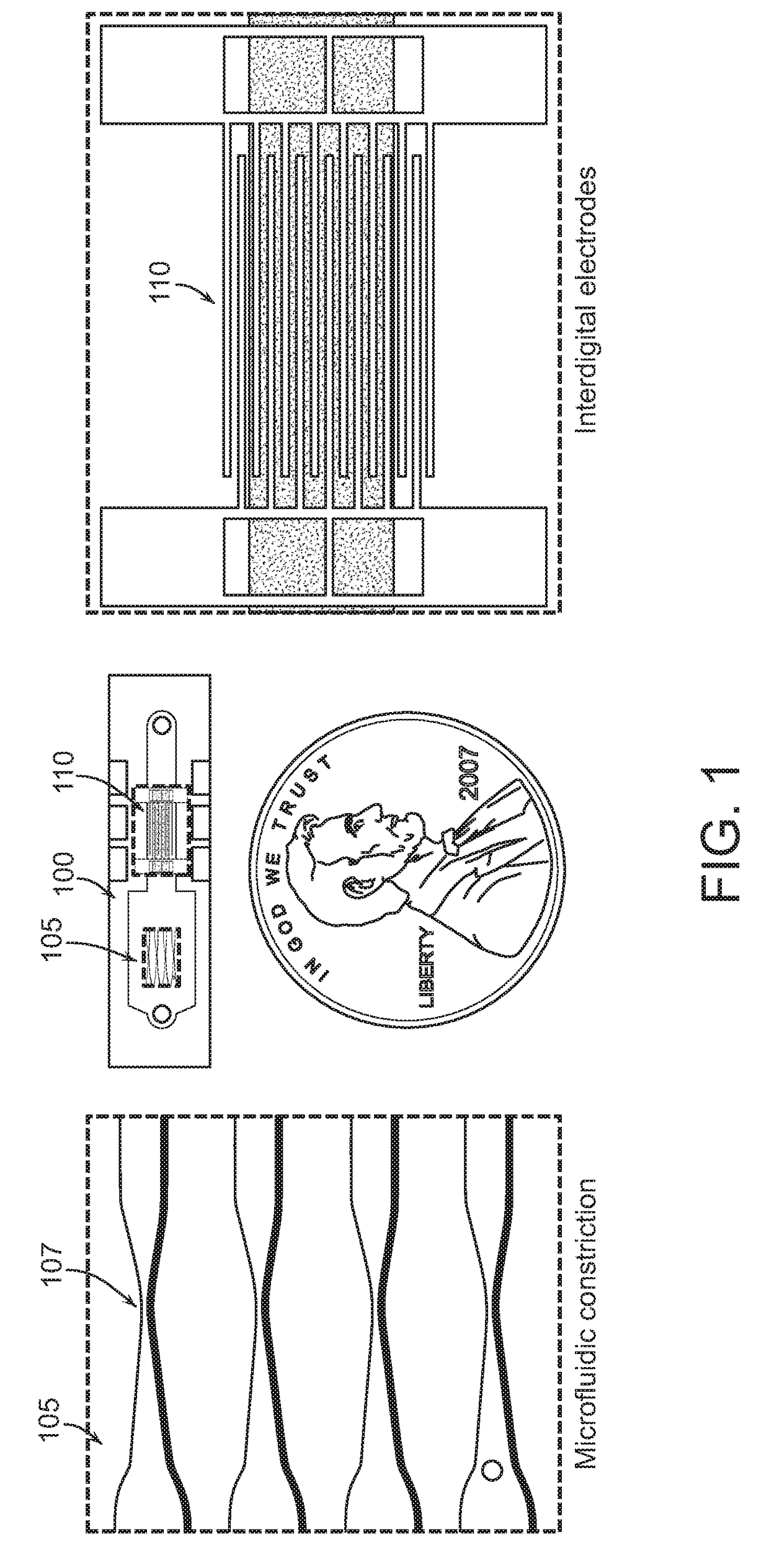 Disruption and field enabled delivery of compounds and compositions into cells