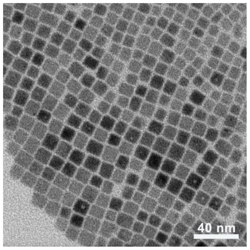 Application of metal halide perovskite CsPbX3 in photocatalytic bionic biosynthesis