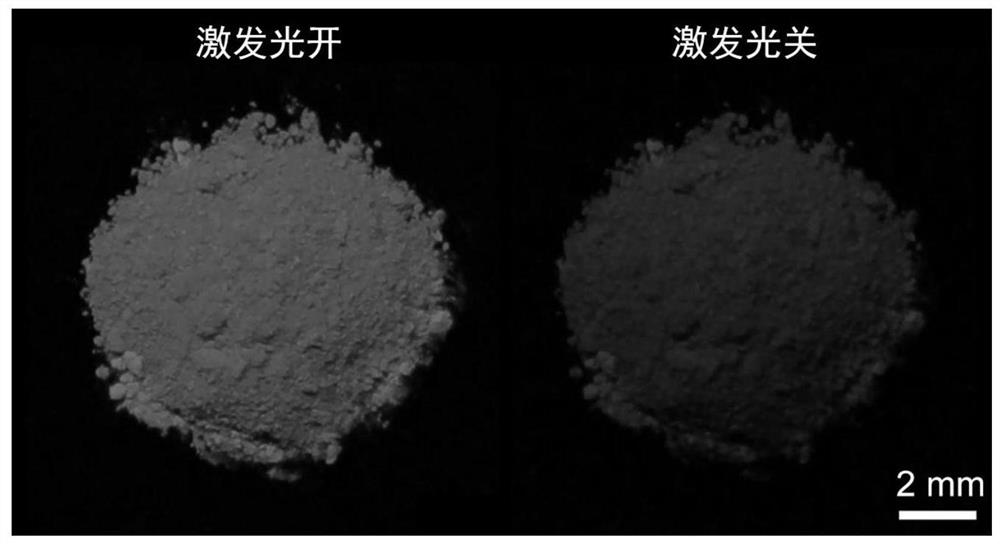 Application of metal halide perovskite CsPbX3 in photocatalytic bionic biosynthesis