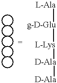 Substrate analogs that substitute for lipid I as a substrate for MurG