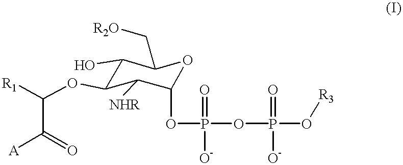 Substrate analogs that substitute for lipid I as a substrate for MurG