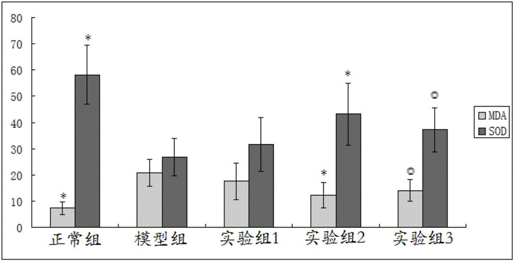 Artemisia integrifolia tea, as well as preparation method and application thereof