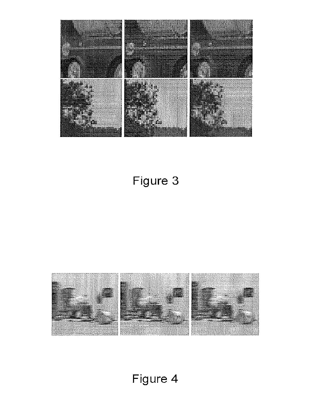 System and methods of compressed sensing as applied to computer graphics and computer imaging