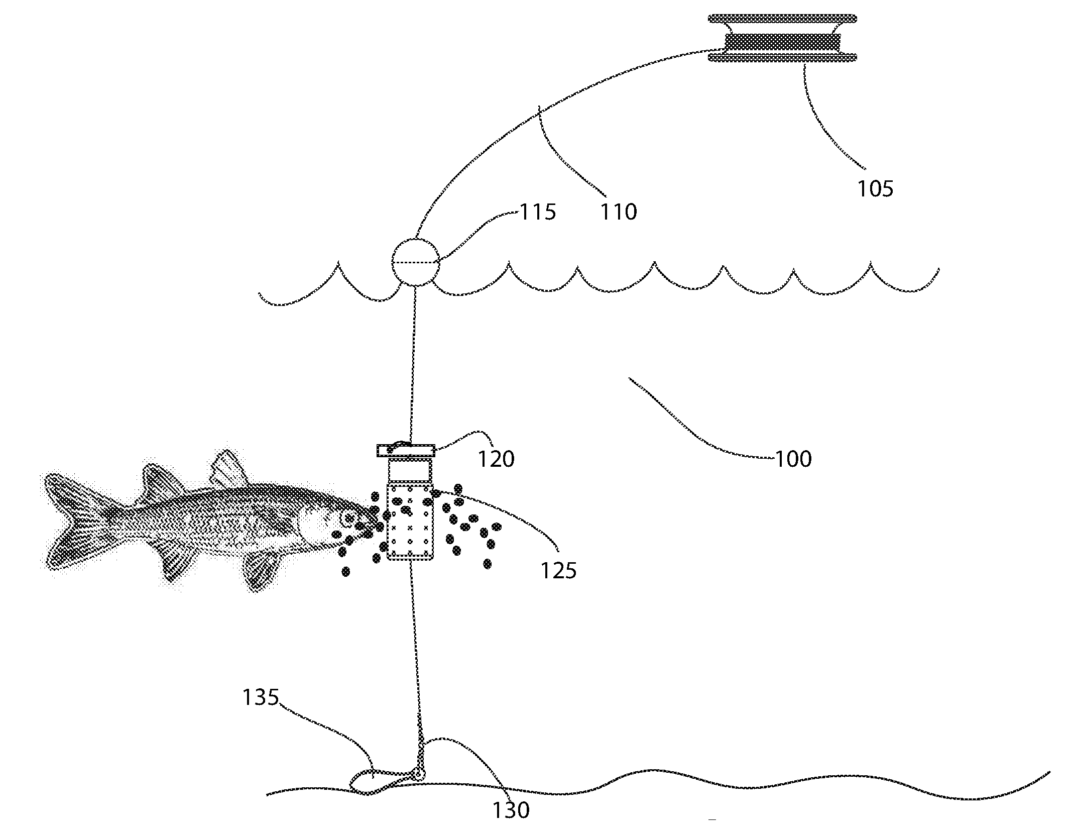 Surface and subsurface dispenser for fish bait and fish food