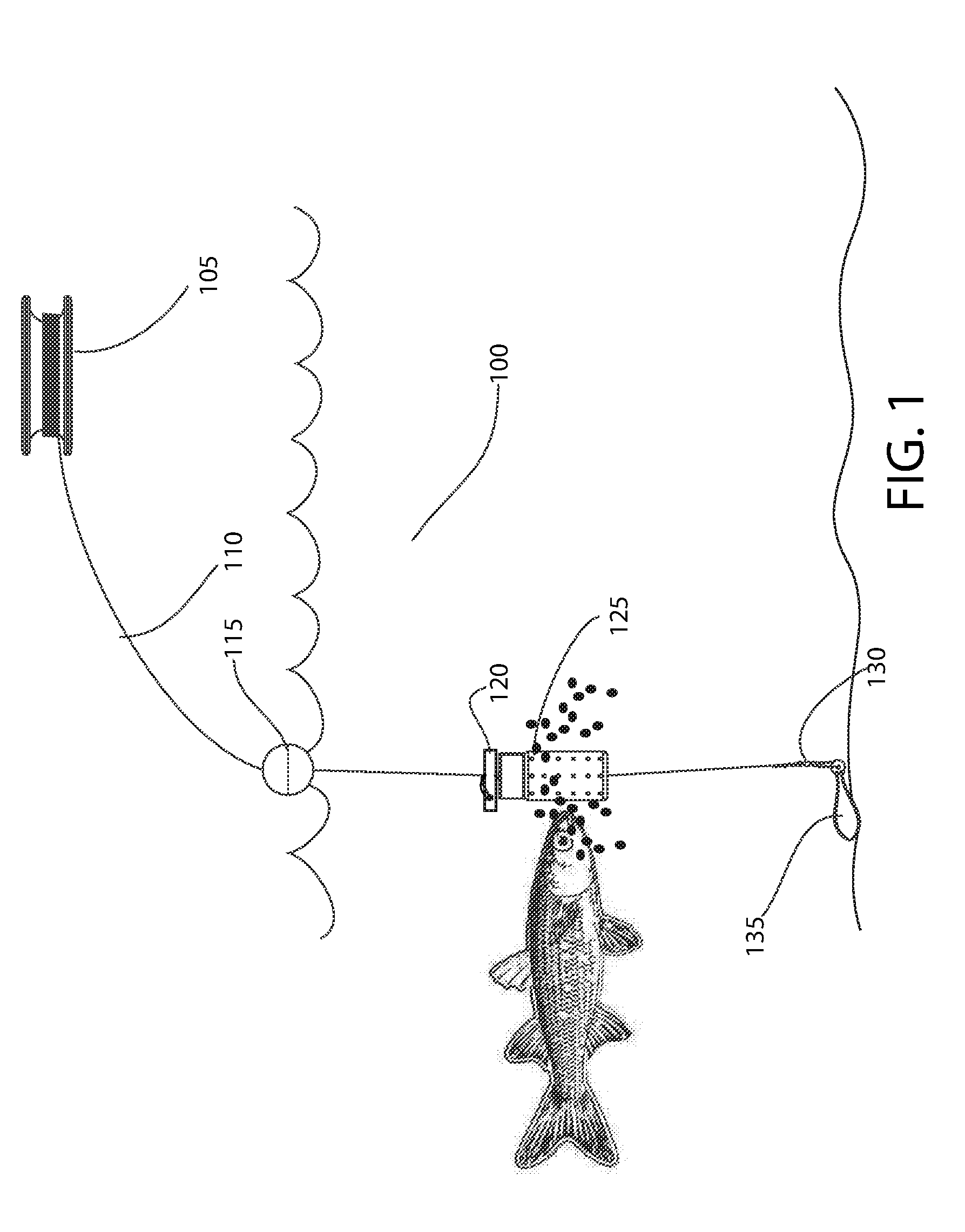 Surface and subsurface dispenser for fish bait and fish food