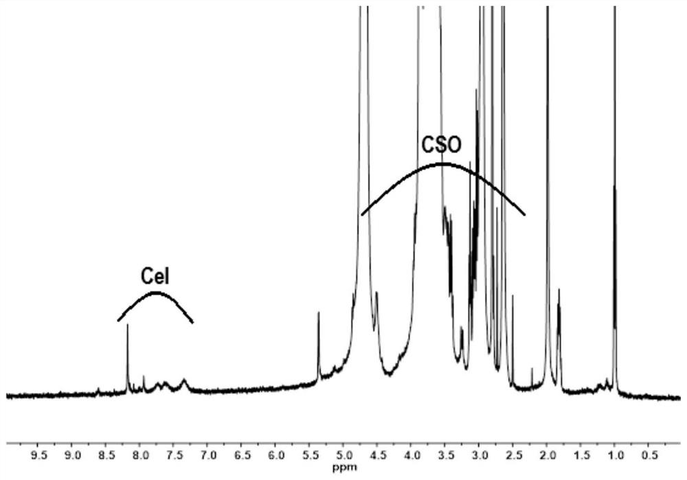 Preparation method and use of tripterine-chitosan oligosaccharide coupled drug