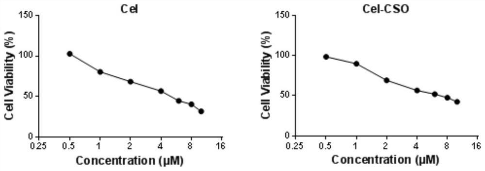 Preparation method and use of tripterine-chitosan oligosaccharide coupled drug