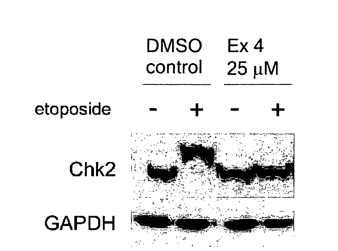 Therapeutic oxy-phenyl-aryl compounds and their use