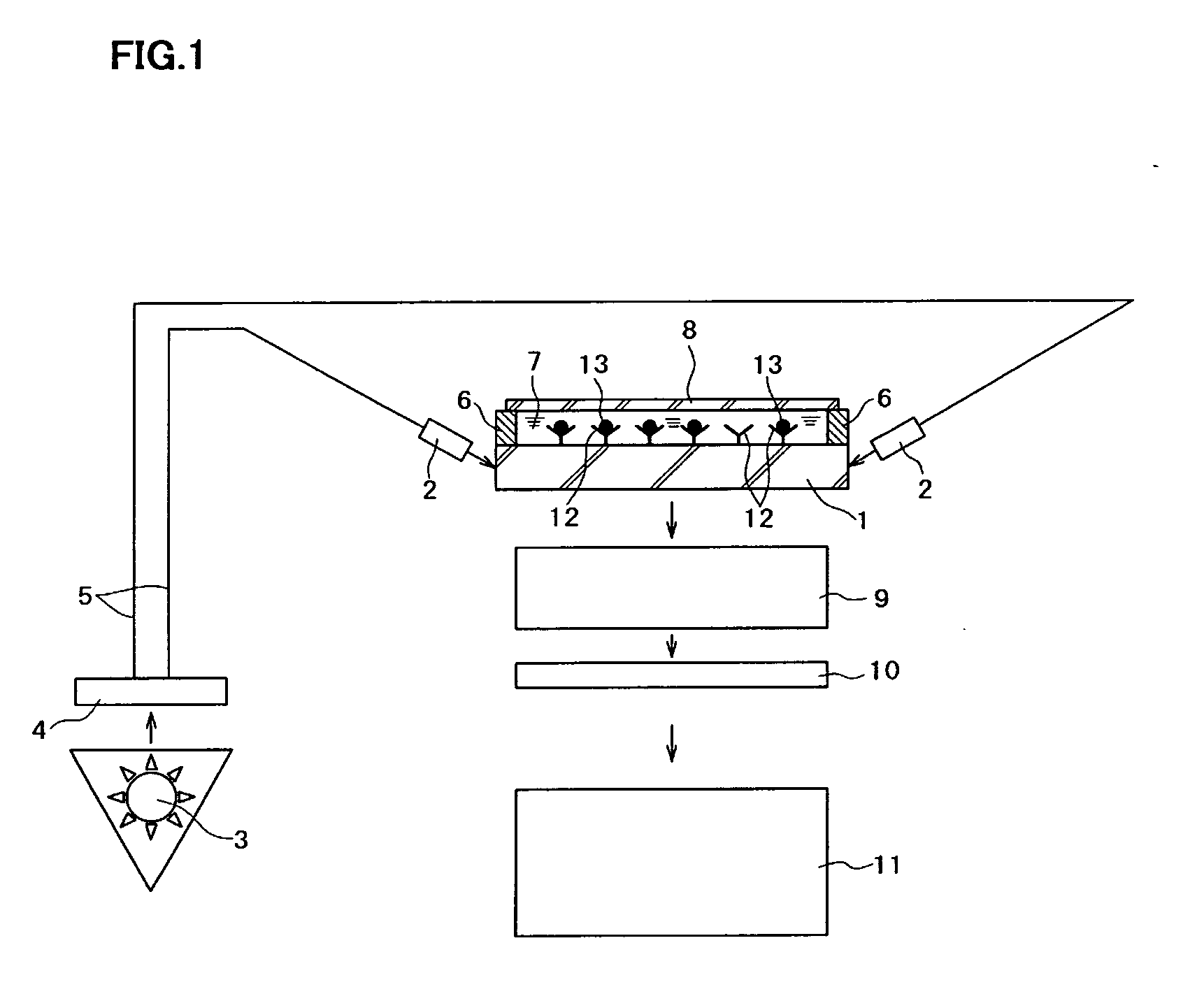 Evanescent wave excited fluorescence detection method