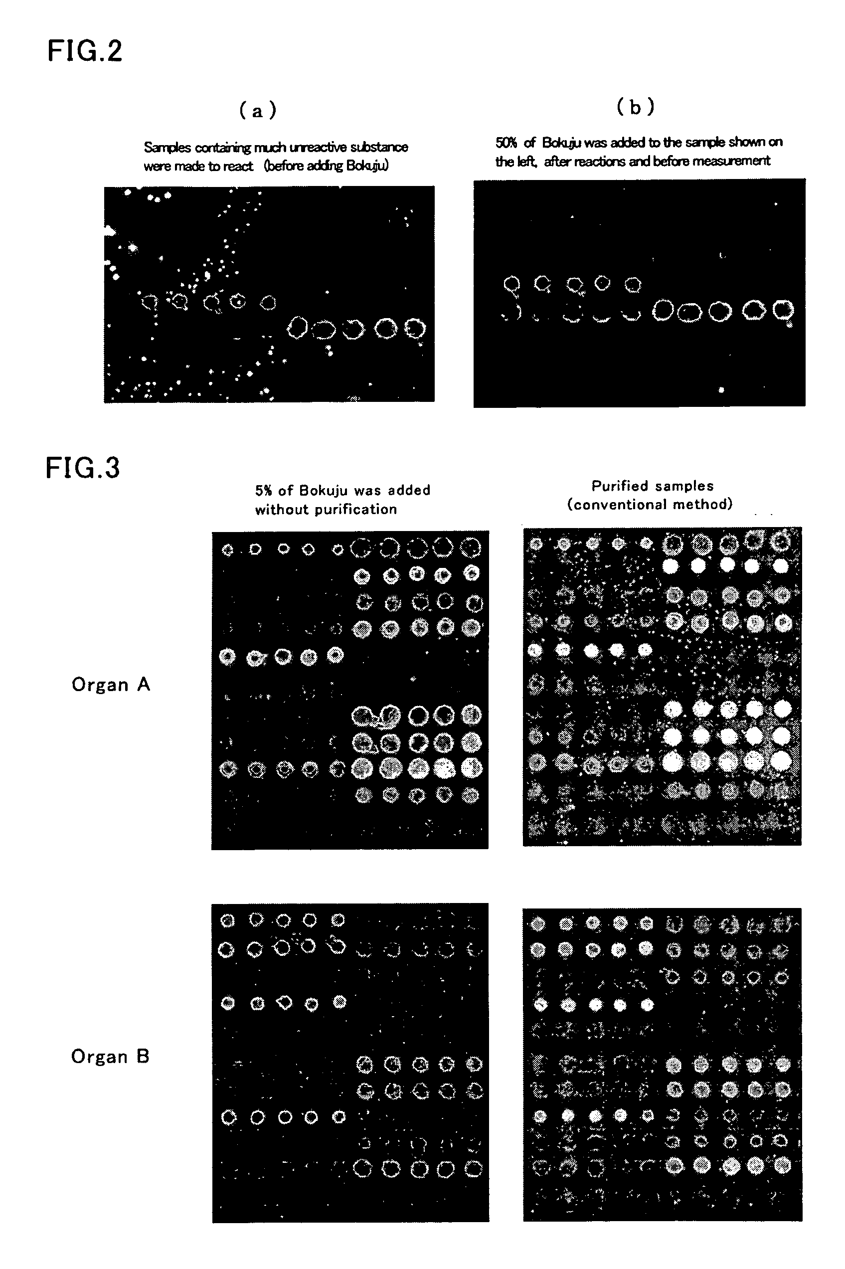 Evanescent wave excited fluorescence detection method