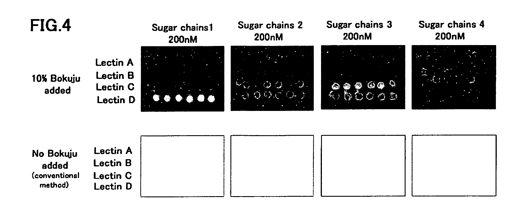 Evanescent wave excited fluorescence detection method