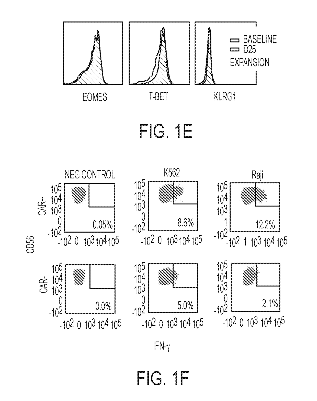 Methods of treatment with natural killer cells matched for killer immunoglobulin receptor type