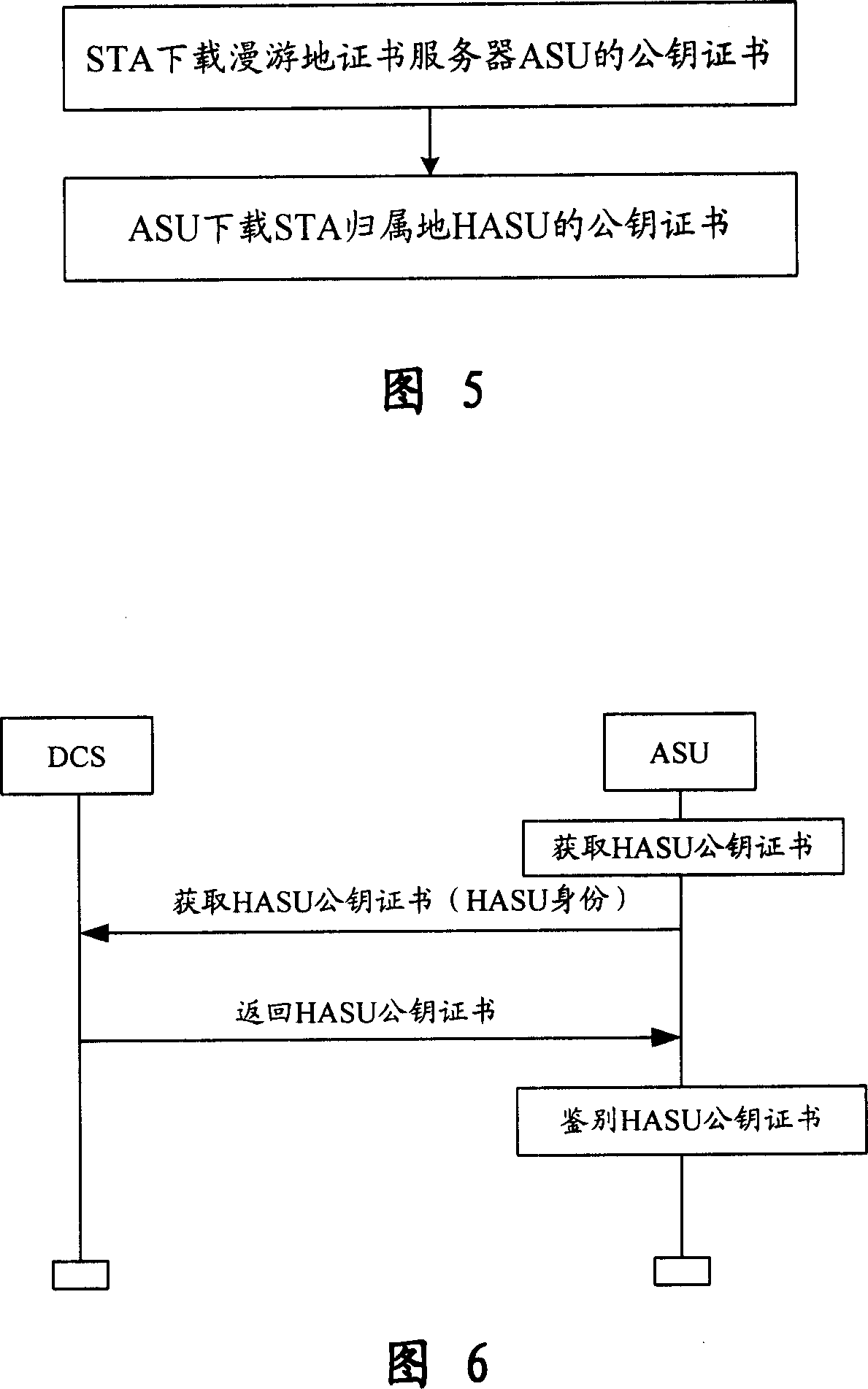 Network system and method for obtaining the public key certificate for WAPI