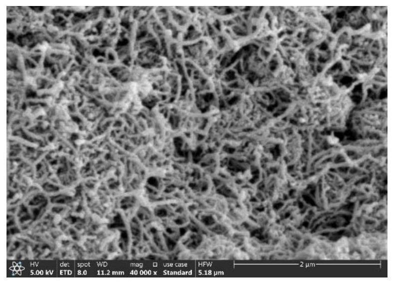 High-specific-strength magnesium-lithium-based composite material and preparation method thereof