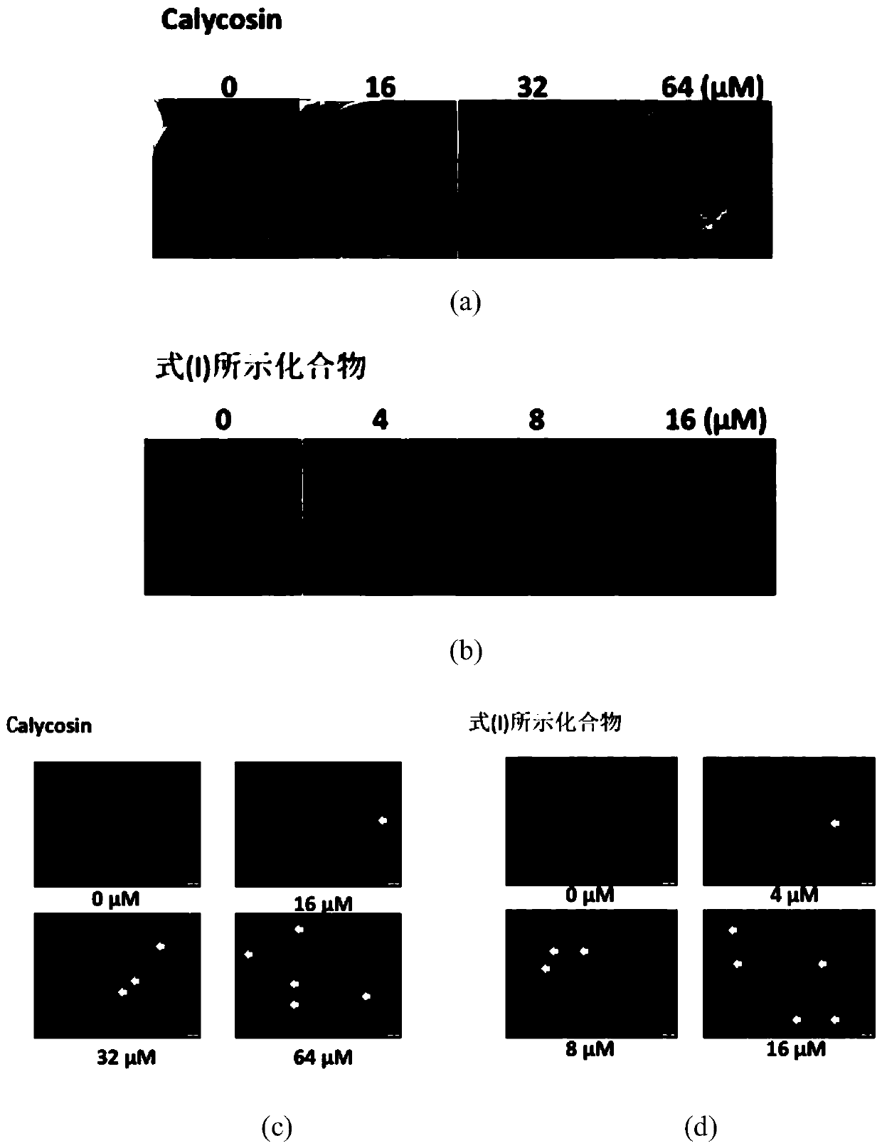 Application of calycosin derivative to preparation of medicines for restraining proliferation of endothelial cells