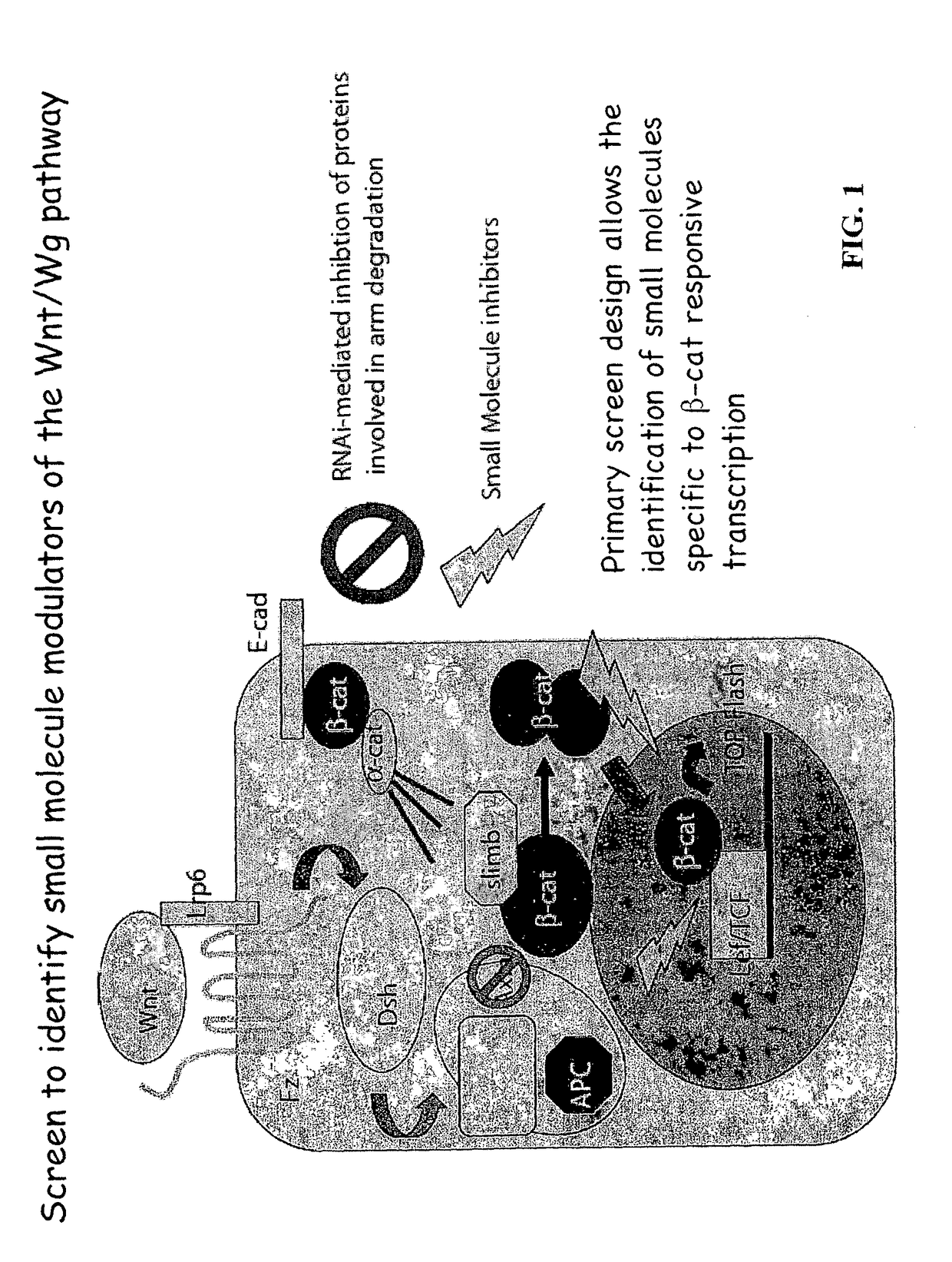 Targeted chemical high-throughput screening method