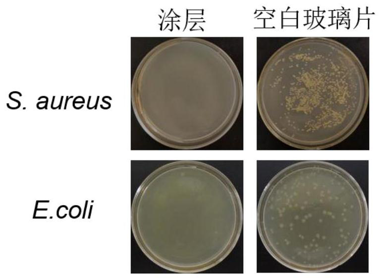 A kind of antibacterial/antifouling/antifogging coating based on quaternary ammonium salt and n-hydroxyacrylamide blend and preparation method thereof