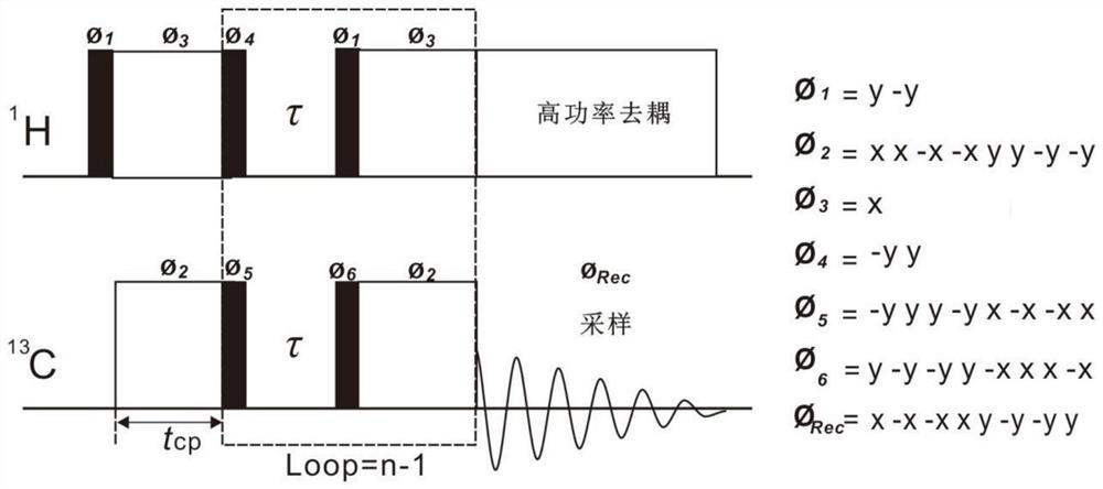 Solid state nuclear magnetic resonance quantitative detection method and device based on successive cross polarization