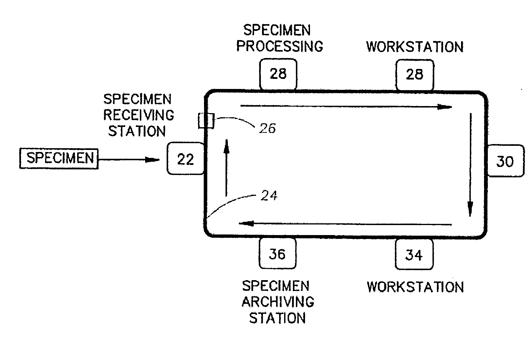 Method for automatic testing of anatomical laboratory specimens