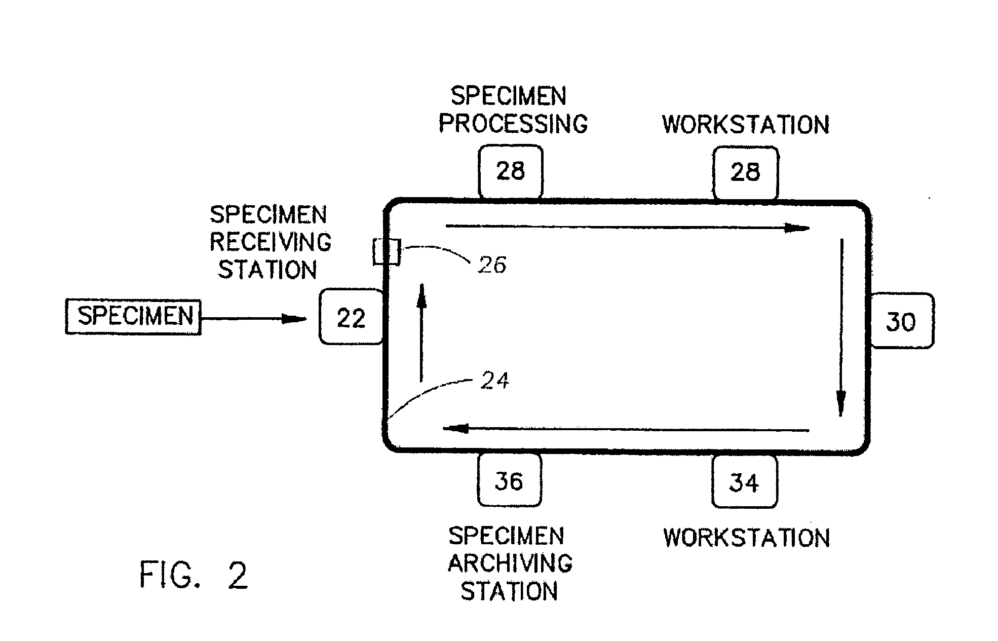 Method for automatic testing of anatomical laboratory specimens