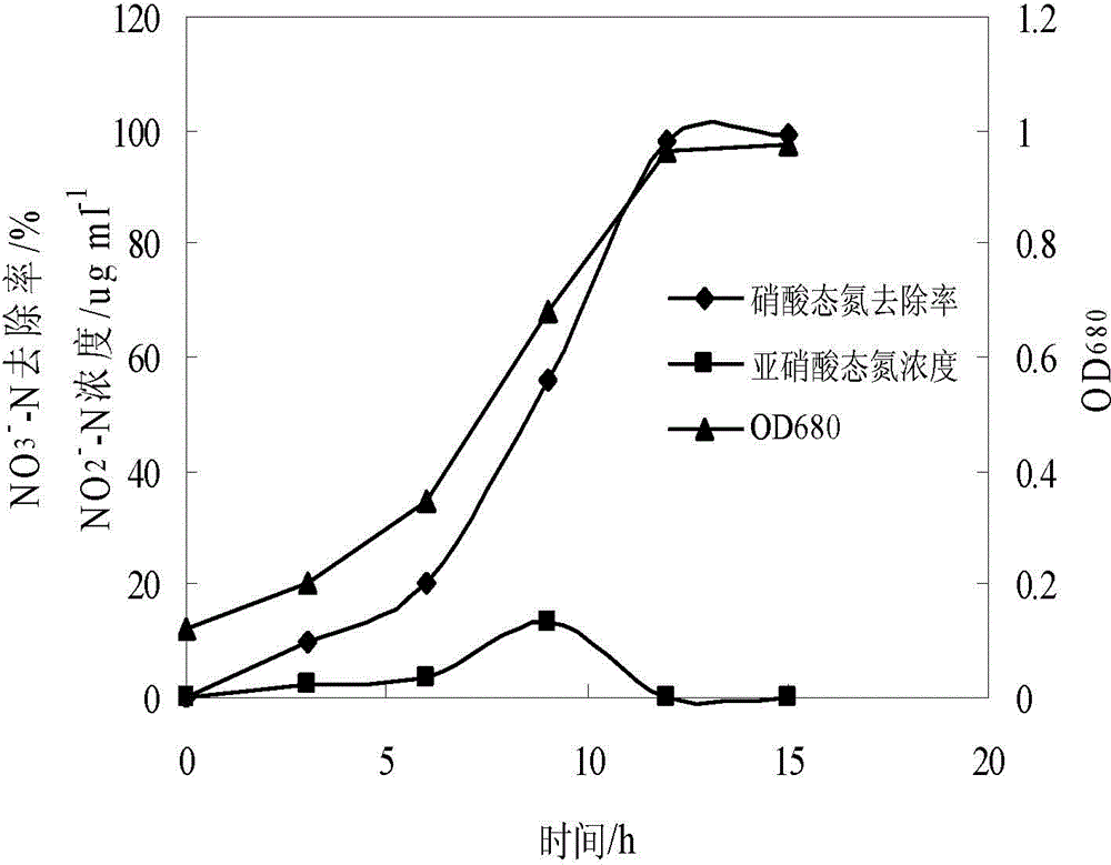 Heterotrophic nitrification-aerobic denitrification Pseudomonas mendoza and its cultivation and application