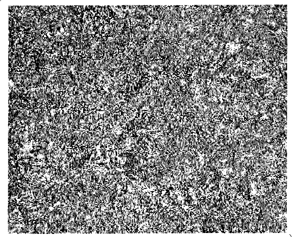 Large-scale mold module and method for manufacturing same