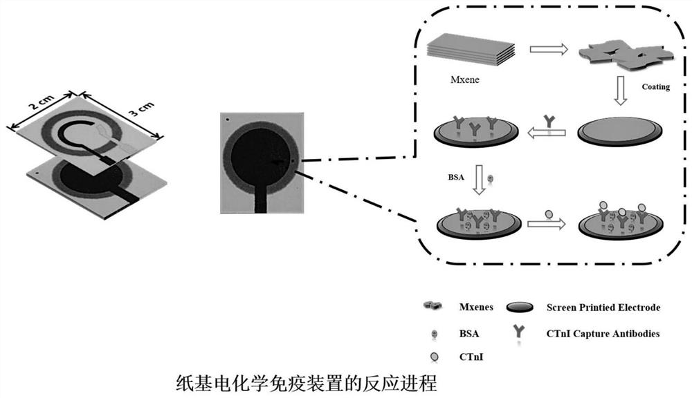 Microfluidic paper-based sensor for detecting cardiac troponin I based on single-layer MXene enhanced signal for electrochemical analysis