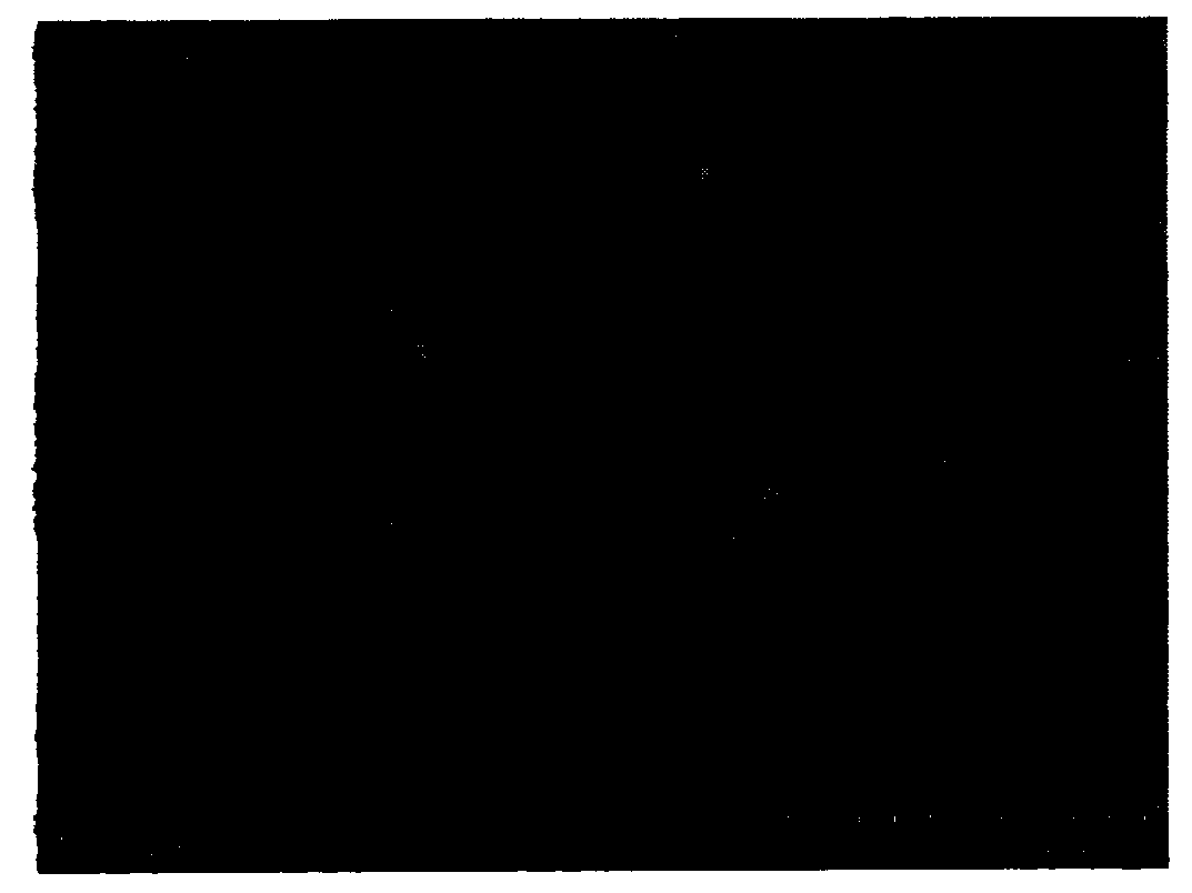 Flexible lithium lanthanum titanyl ceramic nanofiber membrane and preparation method thereof