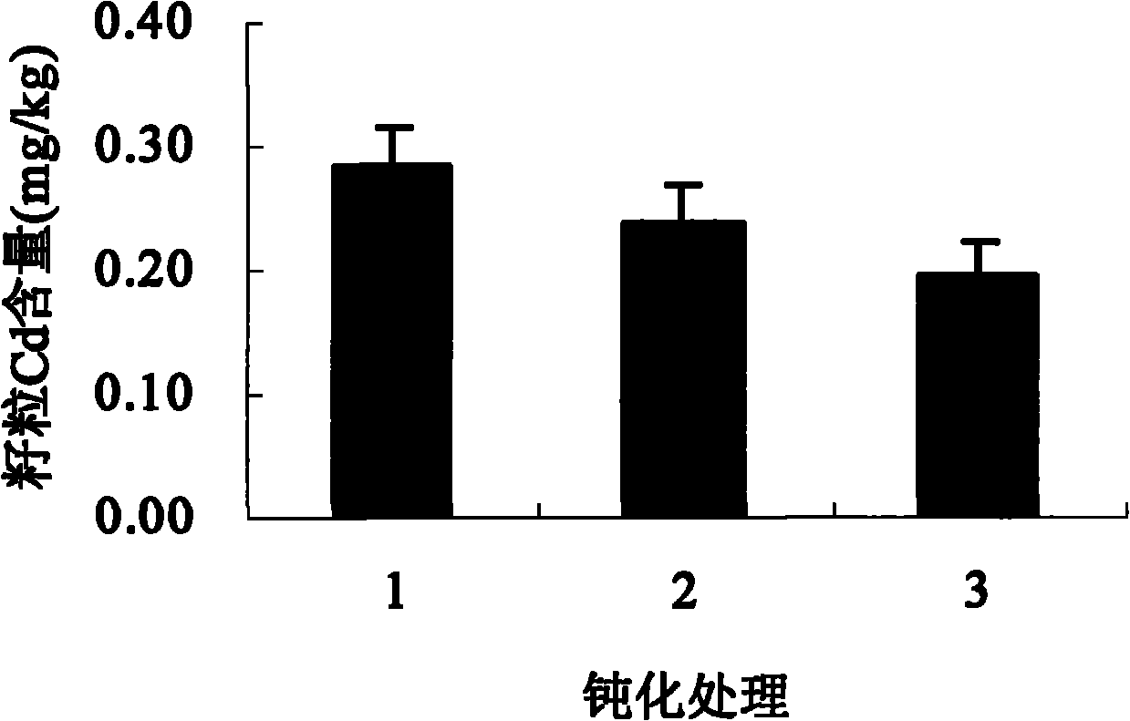 Passivating method for reducing bioavailability of cadmium of acidic cadmium polluted soil